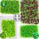 Simulated Green Plant Wall, Plant Wall Background, Artificial Turf Wall, Fake Grass Carpet, Indoor Balcony Wedding Decoration Wall Lawn