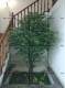Artificial Banyan Tree, Fake Tree, Artificial Tree, Decorative Tree, Wishing Tree, Artificial Plant, Decorative Floor-Standing Floral Arrangement, Living Room Green Plant