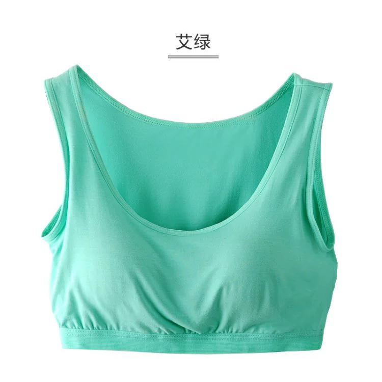 Modal áo ngực một mảnh áo ngực bên trong dây đeo dưới ngắn cổ tròn nửa áo vest mùa hè quần áo mới của phụ nữ