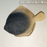 Реалистичные морские рыбки с животными для детского сада, обучение