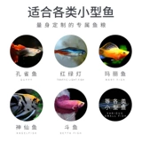 Живописная живописная павлинская рыба кормит тропические рыбы. Небольшая рыба кормила рыбу, рыба красный зеленый свет Микрогранты