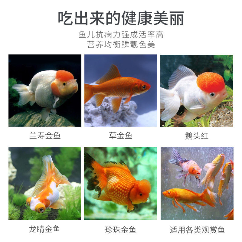 魚食小型魚金魚飼料魚食錦鯉飼料魚糧小型魚金魚觀賞魚料飼料小粒