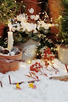 Simulation snow powder Christmas atmosphere props gourmet still life photography props (second store props shop)
