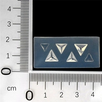 Nailo Mold KT76-M239