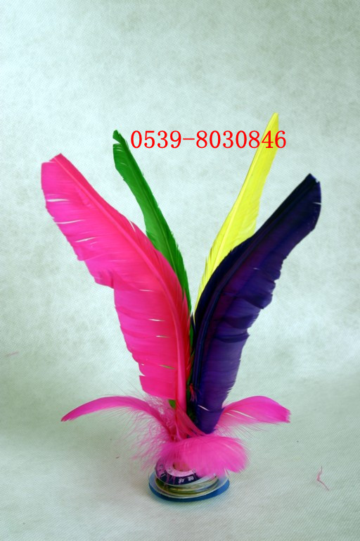 Lông ngỗng lớn 27cm Cuộc thi đào tạo sinh viên chuyên dụng Thể dục gai đặc biệt có thể được bán buôn - Các môn thể thao cầu lông / Diabolo / dân gian cầu đá thể dục