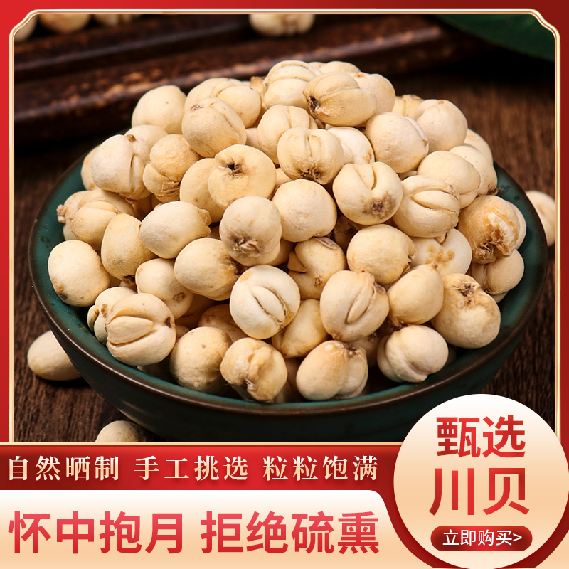Buy 5 delivery 1 Sichuan fritillary Sichuan imitation wild planting Sichuan fritillary mother no sulphur grinding fritillary powder 50g Chinese herbal medicine Sichuan fritillary powder