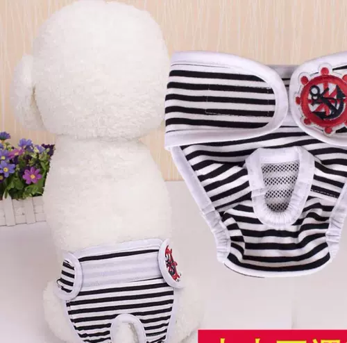 Собачья физиологические штаны Тедди суки безопасности.