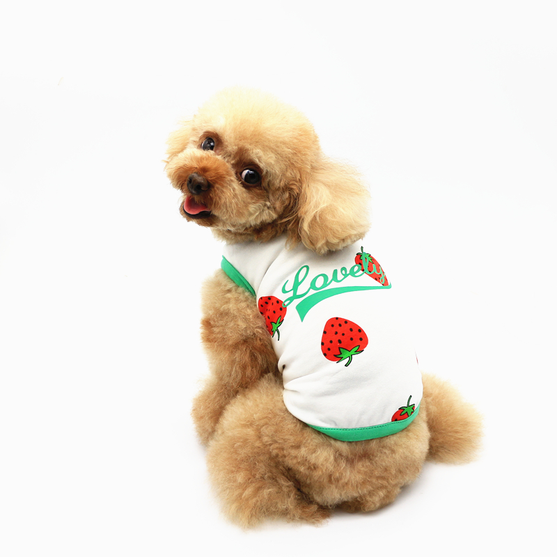 Pet Dress Mùa hè tương phản dễ thương Dâu tây VIP Váy Teddy Váy Váy yếm - Quần áo & phụ kiện thú cưng bộ quần áo cho mèo