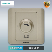 Siemens Tuning Switch Knob Panel Vision Gold Brown Sound Power Amplifier Constant Pressure Home Adjustment Volume Switch