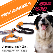 High end Touchdog it dog pet leash loop set teddy dog leash dog chain collar