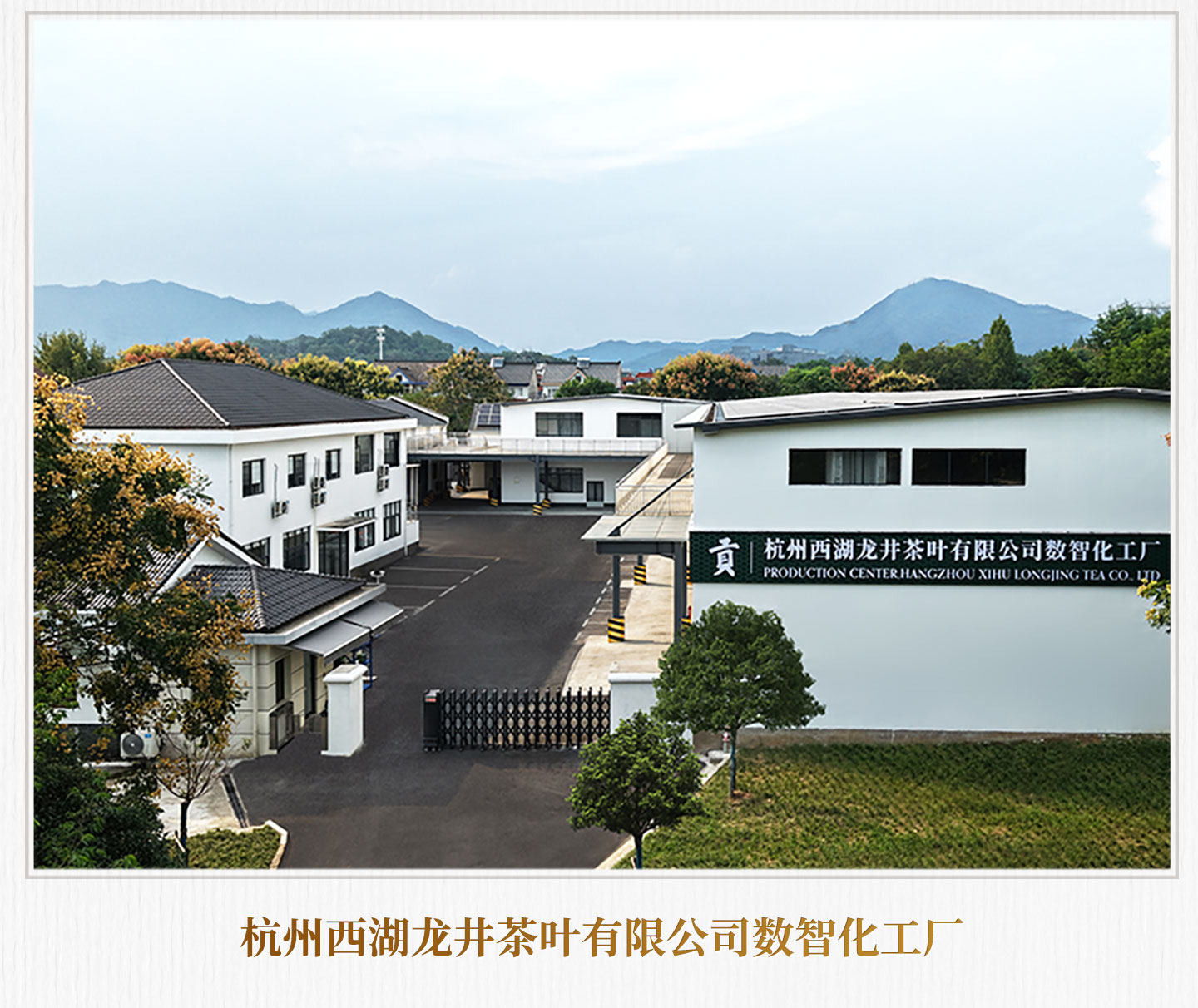 【中国直邮】 贡牌 2026新茶上市 明前精品级西湖龙井茶叶 龙井村头采春茶绿茶 50g