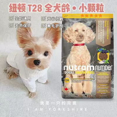 Newton Dog Food T28 Grain-free Salmon Yorkshire Maltese Young Adult Small dog Beauty hair skin care burst hair