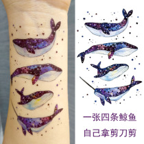 The Starry Sky tattoo of the whale tiger shark Dolphin Sky universe waterproof long-lasting girlfriends couple dream
