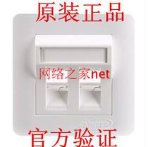 Ampu AMP double Port panel 8-1859168-1 double hole Bevel panel