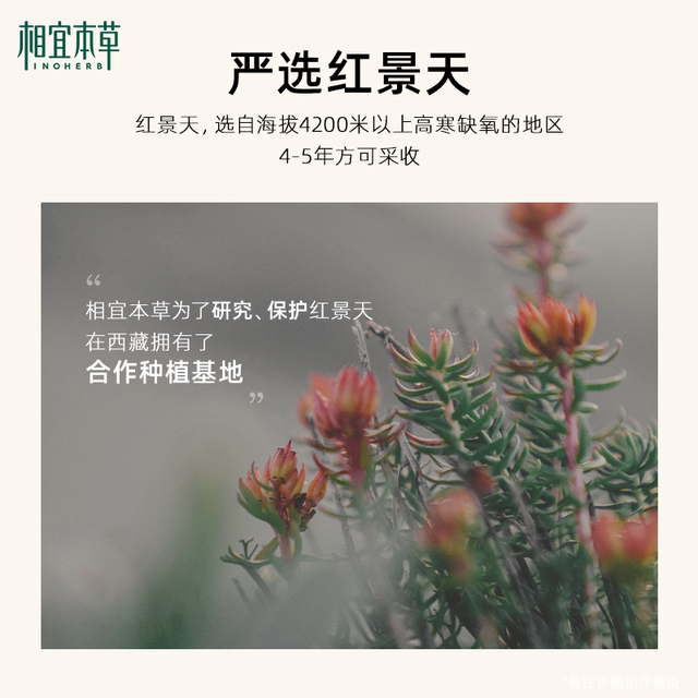 Xiangyi Herbal Rhodiola Rosea Repair Cream BB ຄີມບໍາລຸງຜິວໃຫ້ຄວາມຊຸ່ມຊື່ນແມ້ແຕ່ສີຜິວ ຕິດທົນນານ ປົກປິດຈຸດດ່າງດຳ ຮູຂຸມຂົນກະຊັບ ບຳລຸງຜິວ