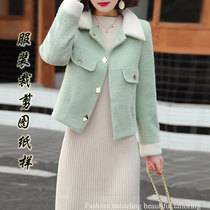 Short mink velvet small coat pattern spring and autumn winter women's new wool cashmere coat model cut