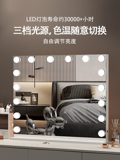 桌面led化妆镜带灯化妆师影楼家用充插电梳妆台式美妆补光大镜子