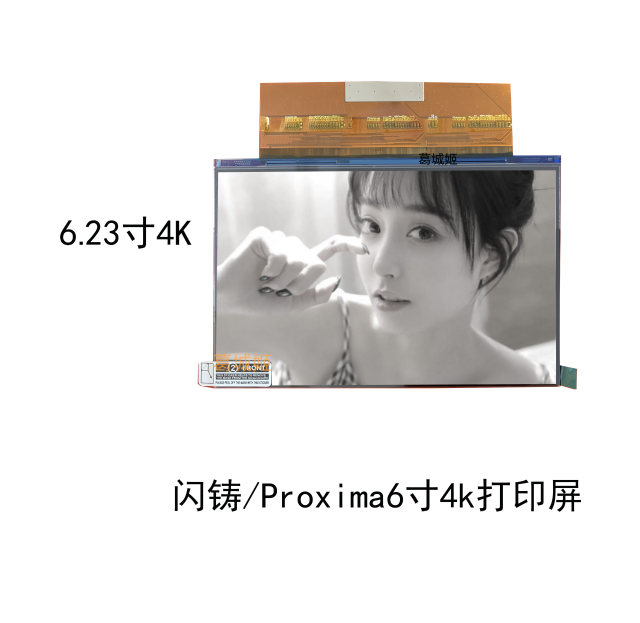 Zhejiang Flashforge flash casting light curing ເຄື່ອງພິມ 3D foto8.9/9.25proxima ຈໍພິມ