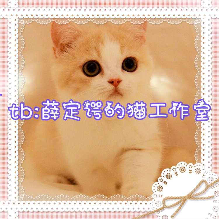 K206 adolescent girl soft girl lace strawberry plaid bow tie-free png transparent frame photo frame design material