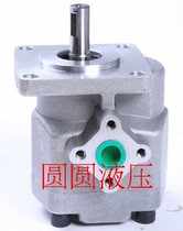 Hydraulic quantitative gear pump oil pump HGP-2A-F2R F3R F4R F6R F8R F9R F11R F12R