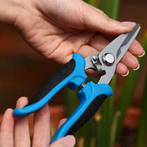 Pruning flower arranging scissors flower scissors special scissors for floristry flower branch scissors gardening flower scissors special scissors for flowers and trees.