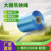 High temperature sling aging-resistant rope greenhouse sling vegetable sling tomato sling seedling rope cucumber sling