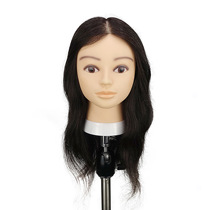 Yongfeng fly color F03I16R teaching head full true 17 inch female headform trimming modeling practice doll head fake head