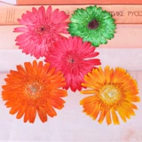 Серьги с серьгами с серьгами монет ручной работы с серьгами