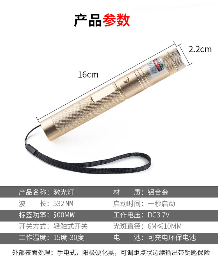 303 Laser Flashlight, Green Light Starry Sky Infrared Laser Lamp, shooting pen, Marine Sales office Laser Charging flashlight pic 8