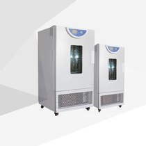 Shanghai Yiheng BPMJ-250F mold incubator Microbial incubator Oven Seed germination box 