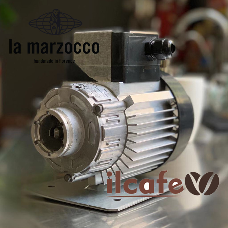 Elaine-Italy imported lamarzocco hot mom semi-automatic commercial coffee machine water motor motor