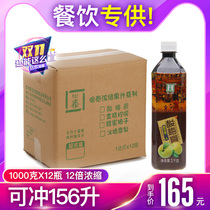 12 times sour plum cream concentrated juice Yitai Sweet Osmanthus fragrans sour plum soup raw material sour plum juice 1000g X12 bottle whole Box Wholesale