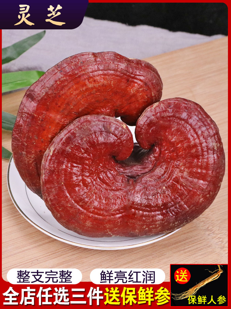 Changbai Mountain Ganoderma lucidum 500gg Deep mountain pruned Nyingchi red Ganoderma lucidum wine can be sliced