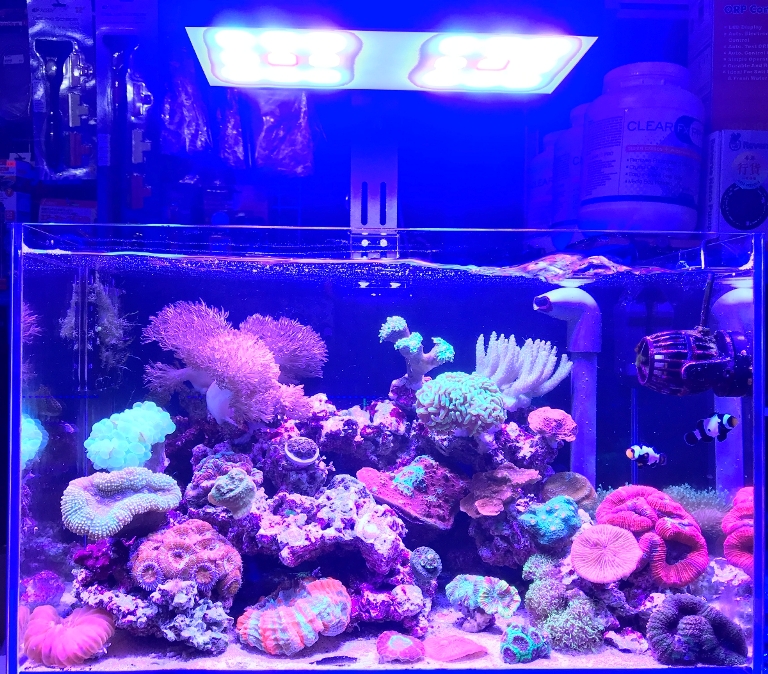 魚缸防水燈flygo全光譜led智能海水珊瑚燈海水缸燈架水族箱魚缸照明燈水草燈 萌狐狸9877 Yahoo奇摩拍賣 魚缸防水燈flygo全光譜led智能海水珊瑚燈海水缸燈架水族箱魚缸照明燈水草燈 萌狐狸9877 Yahoo奇摩拍賣