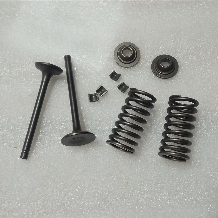 Suitable for Shanye Liying Fuxi Qiaoge ghost fire ZY100T intake and exhaust door lock leaf spring valve seat oil seal