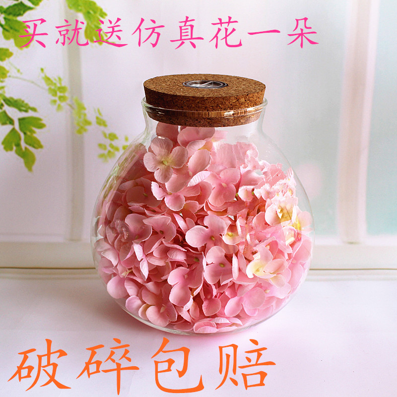 Moss Microscape Eco Bottle Spherical Soft Wood Stopper Tea Storage Tank Pineapple Bottle Glass Bottle Moss Bottle LED Light