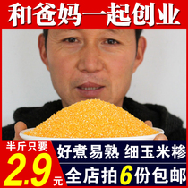 Yellow corn grits 250g non-fine corn grits bao mi corn grits stick ballast edible stubble corn
