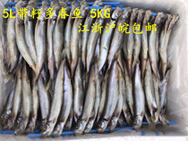 Spring fish 5L 5KG fresh full-seeded frozen multi-seeded deep-sea fish seafood barbecue Jiangsu Shanghai and Anhui whole box