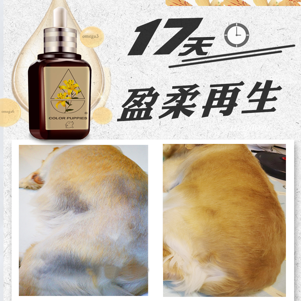 The Fun and Essential Oils pooch does not grow hair without long fur Skin Dog Hair Dry Dog Skin Repair Except Smells and moisturizing