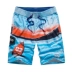Quần short nam đi biển mùa hè mỏng mảnh thường xuyên quần cotton năm điểm hoa holiday kỳ nghỉ bên bờ biển lỏng lẻo quần bơi thủy triều
