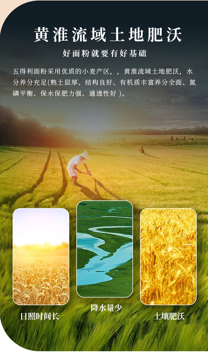 安享好物 安享B级小麦面粉-五得利八星 雪花小麦粉 国标