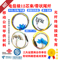 Telecom-grade FC square head SC12 core beam pigtail 0 9 Fine 2 0 coarse color single-mode ribbon tail fiber fiber disc
