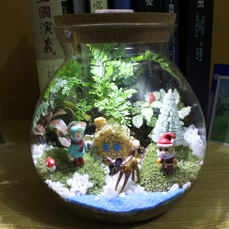 Mini Moss Micro Landscape Ecological Bottle Creative Chinchilla