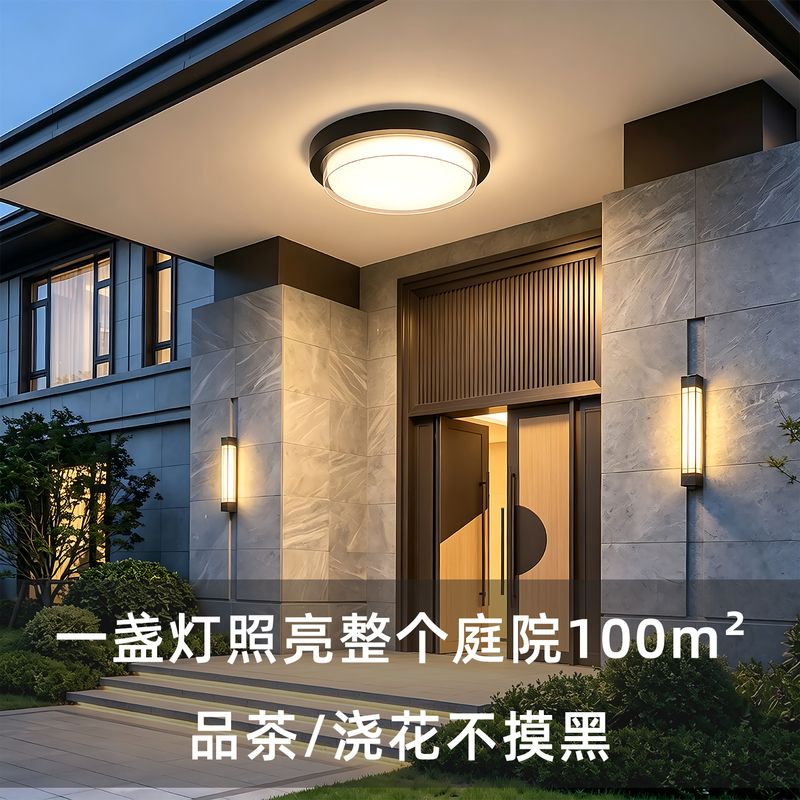 Outdoor Ceiling Light, Waterproof and Insect-Proof, Super Bright Lighting, Villa Entrance Eaves Balcony Light, Outdoor Aisle Light