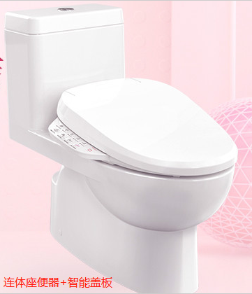 Kyung-yin Toilet K-4012T-S2-0 K-8297T-0