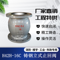 Shanghai Hugong Valve H42H-16C Cast Steel WCB Flanged Vertical Check Valve Silenced Check Valve DN100 150