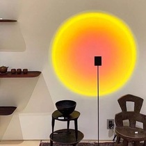 Dream home Day does not fall net red floor lamp ins wind Creative projection lamp Shooting props Atmosphere decorative lamp