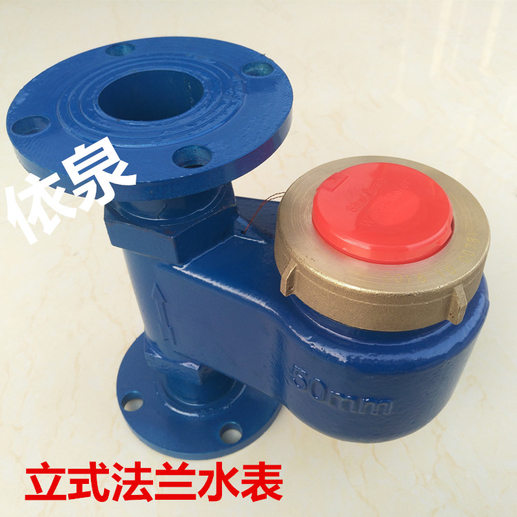 Rotary Wing Type DN50 65 80100m m 2 Inch 4 Inch Vertical Water Meter Cold Water Hot Water Vertical flange pick up-Taobao