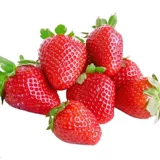 Семена кремового кремового крема