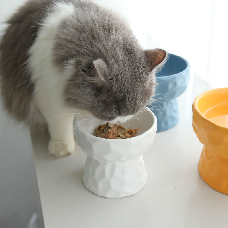 Ceramic cat bowl protects cervical vertebra oblique mouth high foot dog cat food bowl cat food bowl rice bowl pet drinking water to prevent overturning
